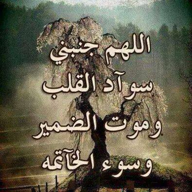 صور كلمات