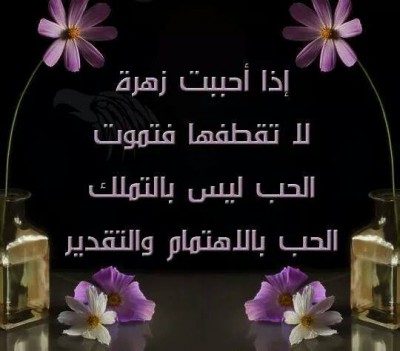 صور كلمات