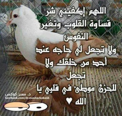 صور كلمات