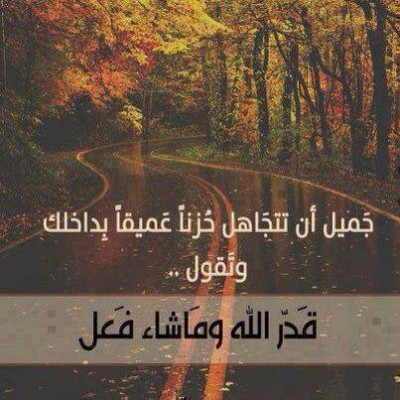 صور كلمات