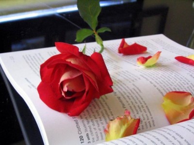 صور كلمات فيس بوك