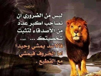 صور كلمات فيس بوك