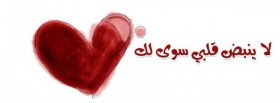 لا ينبض قلبي سوي لك