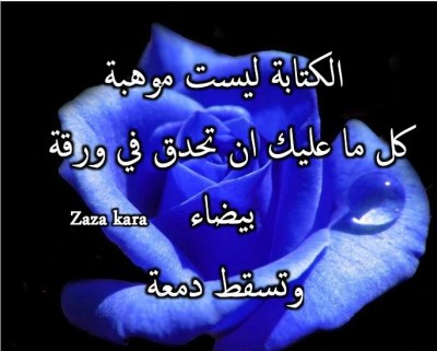 كلمات فيس بوك