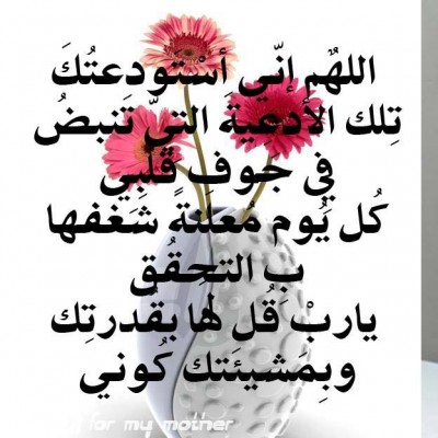 كلمات فيس بوك