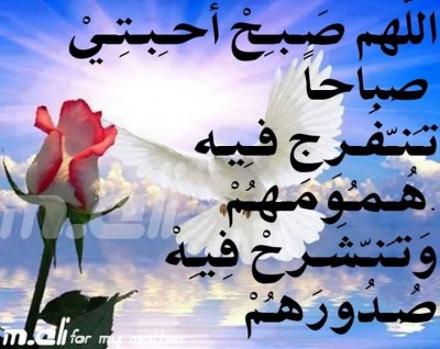كلمات فيس بوك