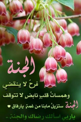 الجنة فرح لا ينقضي