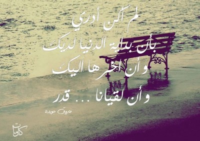 كلمات فيس بوك