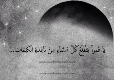 كلمات فيس بوك