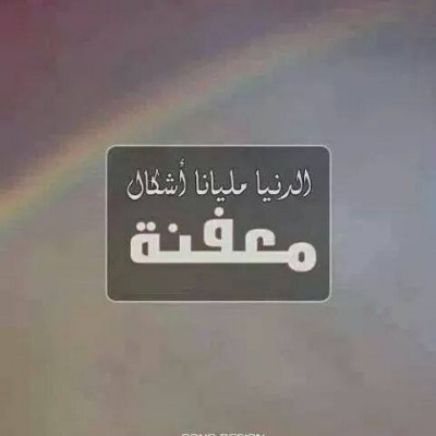 كلمات فيس بوك 