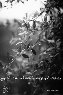 كلمات فيس بوك