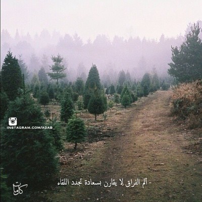 كلمات فيس بوك