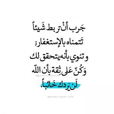 كلمات فيس بوك