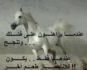 عندما يراهنون على فشلك و تنجح