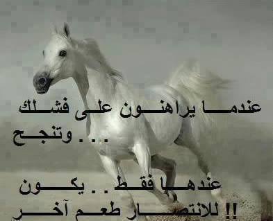 كلمات فيس بوك