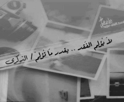 كلمات فيس بوك