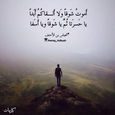 كلمات فيس بوك