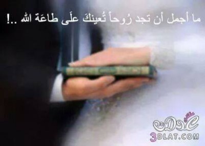كلمات فيس بوك