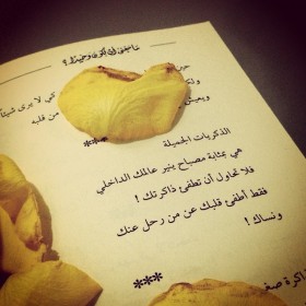الذكريات الجميلة