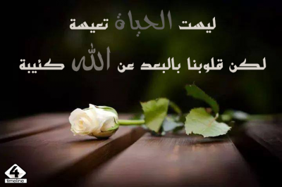 صور دينيه