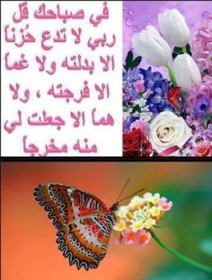 صور دينيه