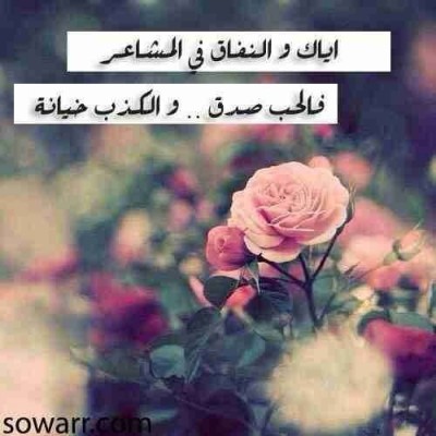 كلمات فيس بوك