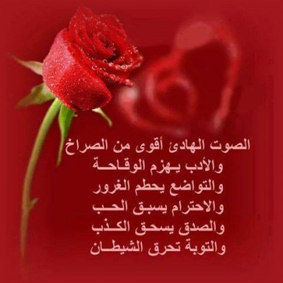 كلمات فيس بوك