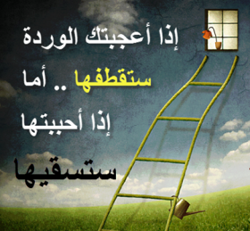 إذا أعجبتك الوردة