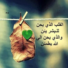 القلب الذي يحن للبشر
