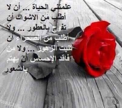 كلمات فيس بوك