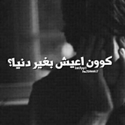 كلمات فيس بوك