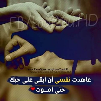 كلمات فيس بوك