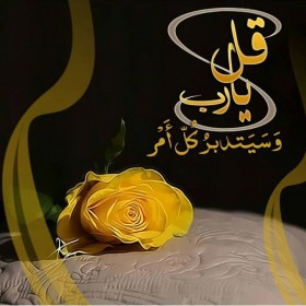 قل يا رب و سيتدبر كل أمر