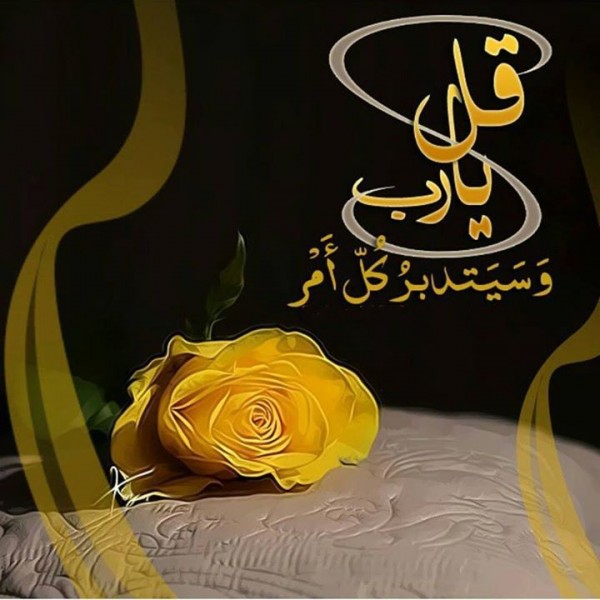 قل يا رب و سيتدبر كل أمر